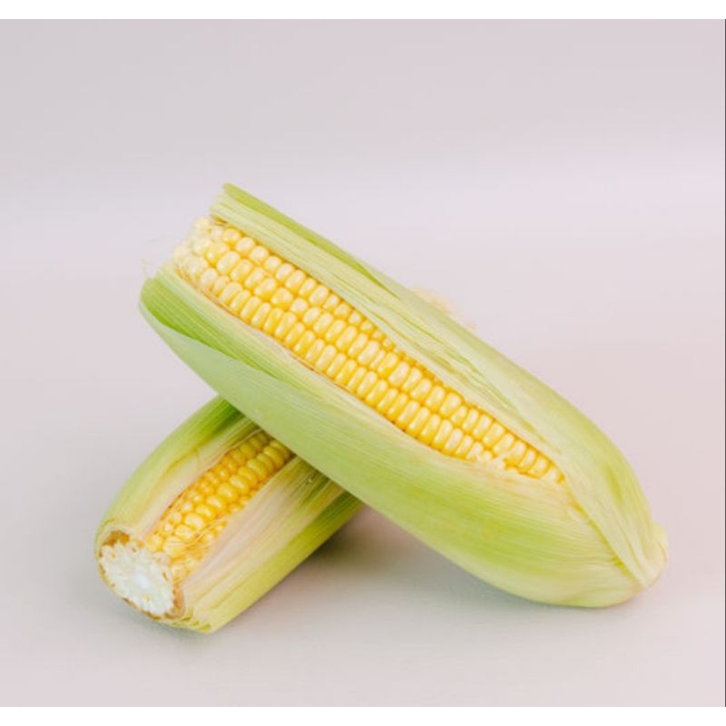 

jagung manis segar 1pak 2picis