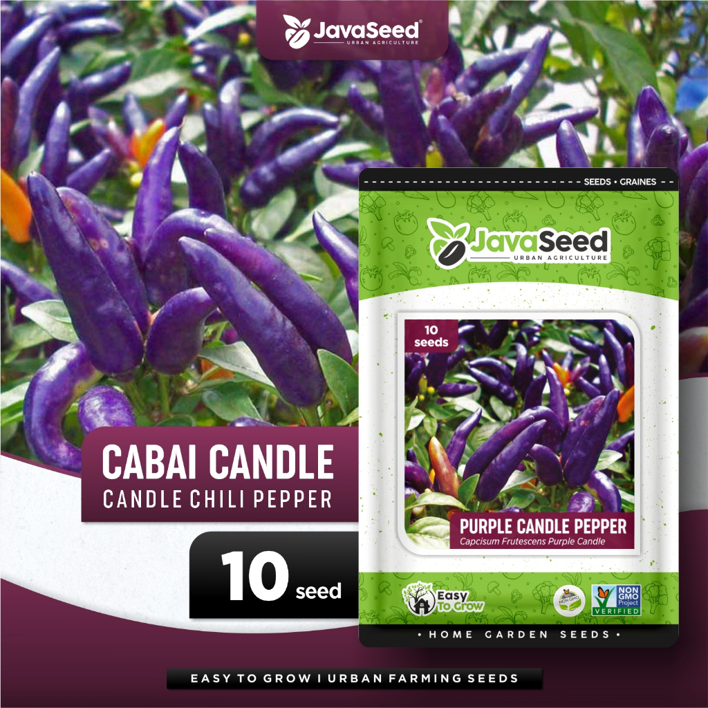 JAVASEED - Benih Cabai Hias Ungu Cabe Purple Candle Pepper 10 Benih