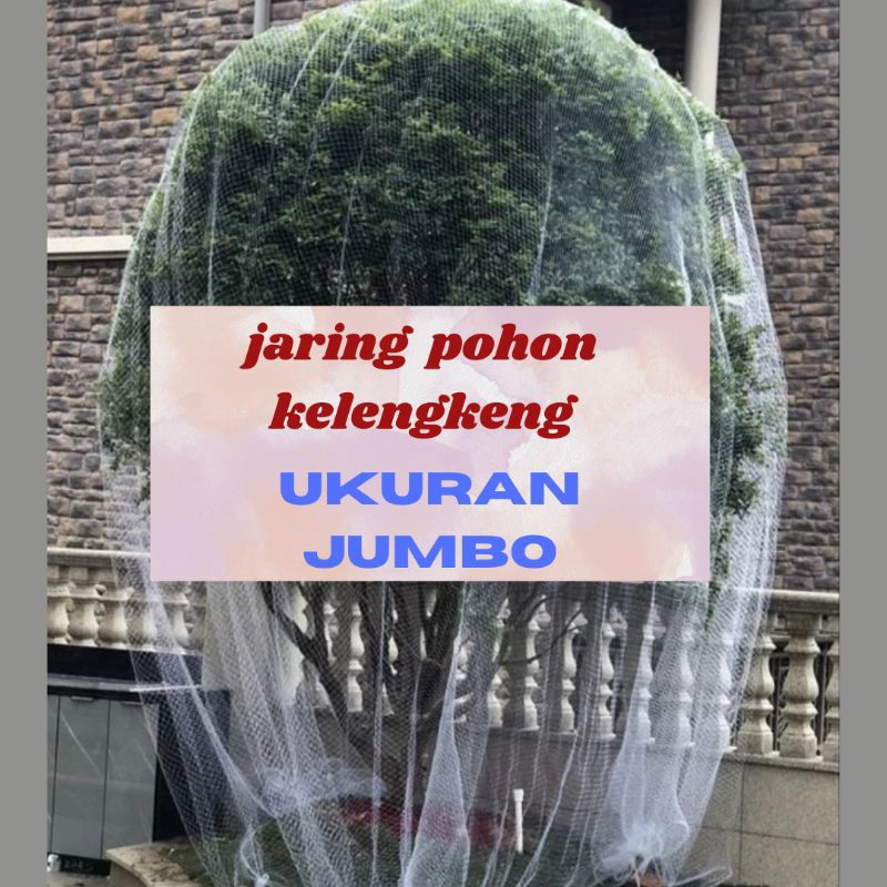 PROMO  JARING BUAH KELENGKENG UKURAN JUMBO JARING BRONGSONGAN BUAH KELENGKENG JARING KELELAWAR