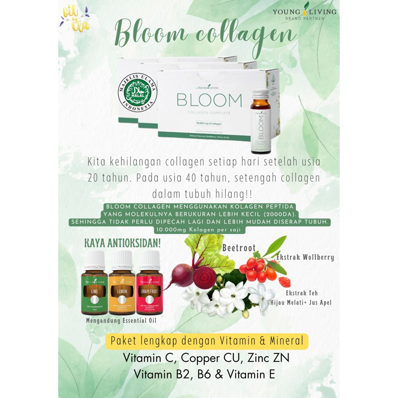 bloom collagen+ Member Young Living