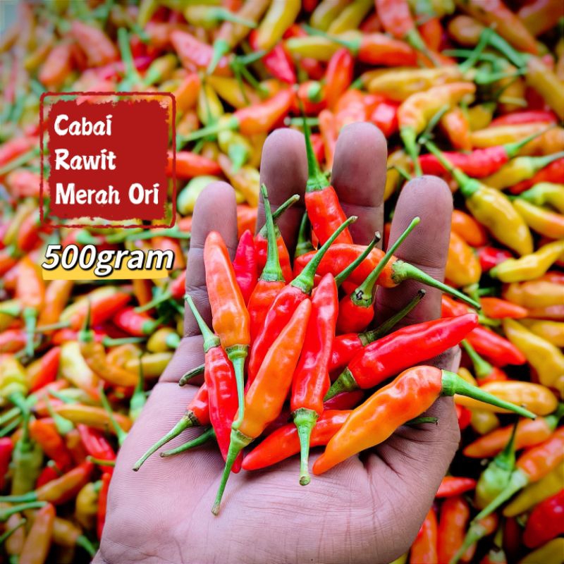 

Cabe Cabai Lombok Rawit Merah Fresh Segar 500gram Cabe Setan TJAGRO