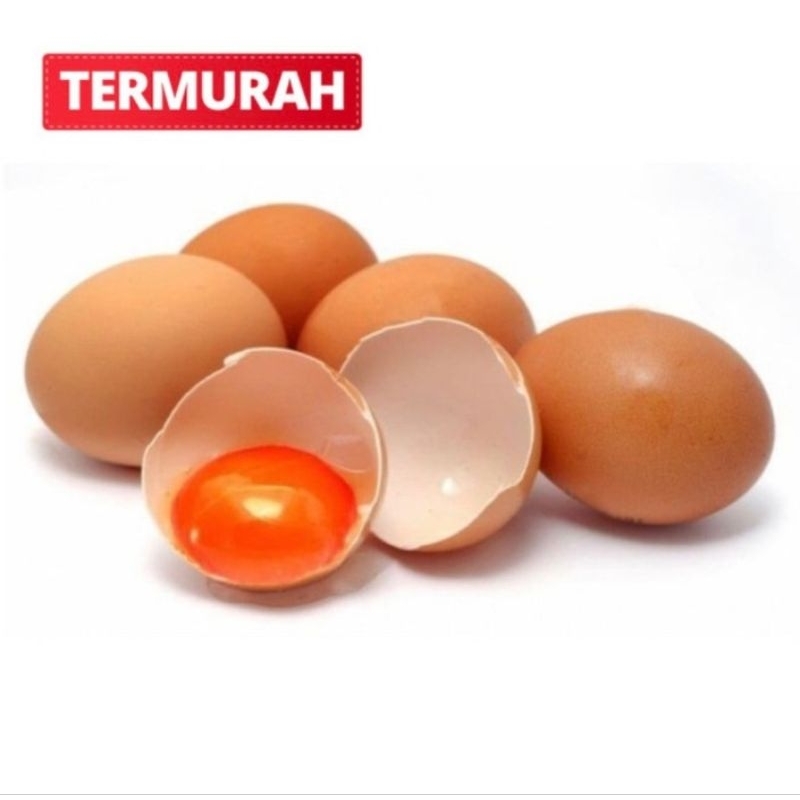 

Telur Ayam OMEGA 3 Segar Alami Sehat 1KG