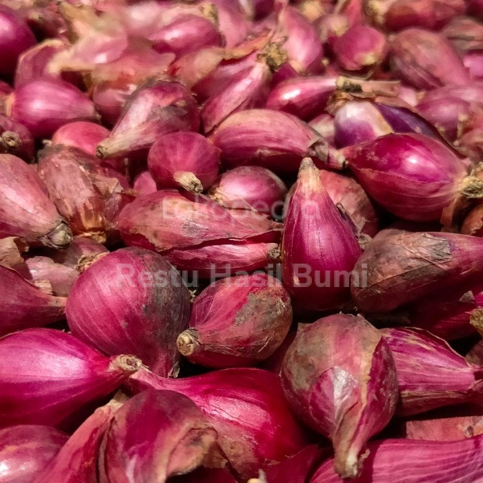 

Bawang Merah Brebes 1 Kg Fresh Harga Terjangkau