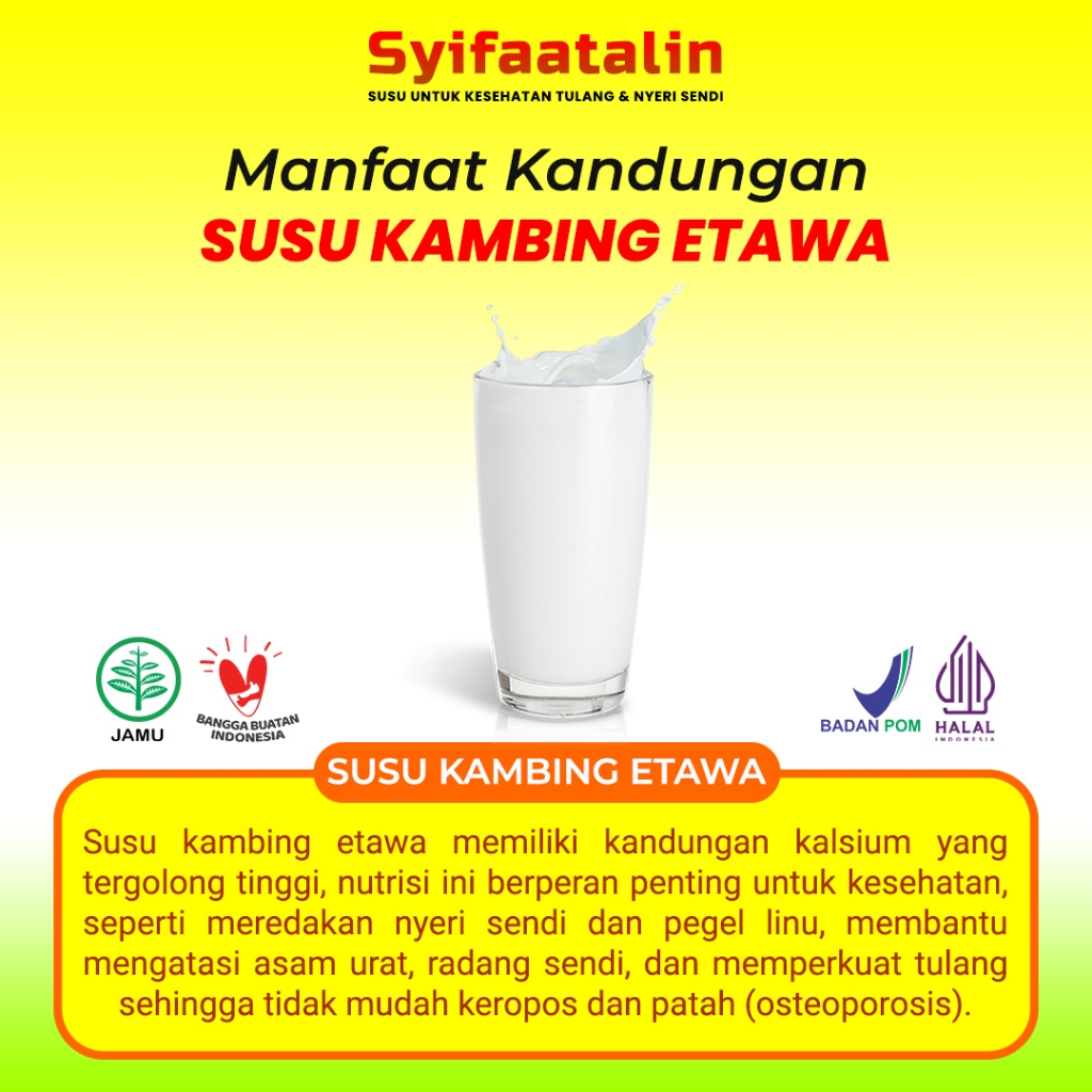 

Susu Kambing Etawa Herbal Syifaatalin Spesial untuk Terapi Tulang & Sendi