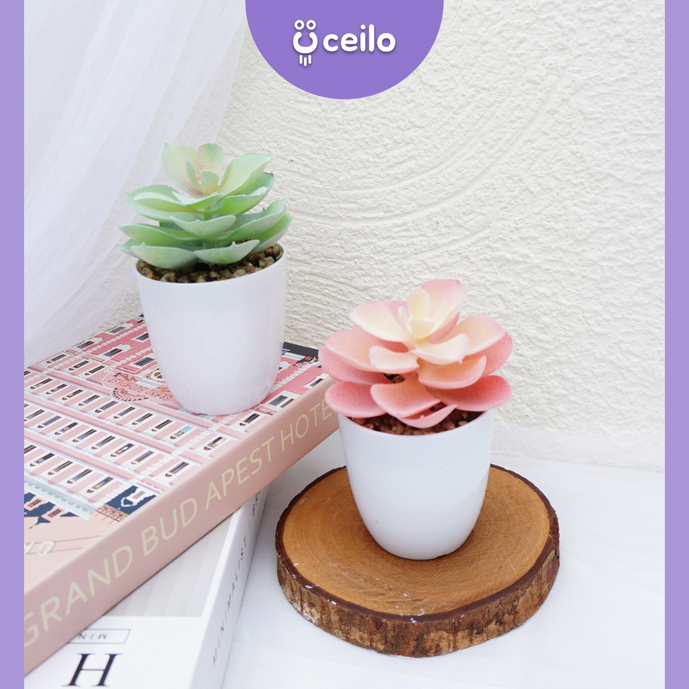 CEILO Kaktus Sukulen Imitasi Pot Plastik | Succulent Artificial | Cactus Succulent | Tanaman Kaktus 