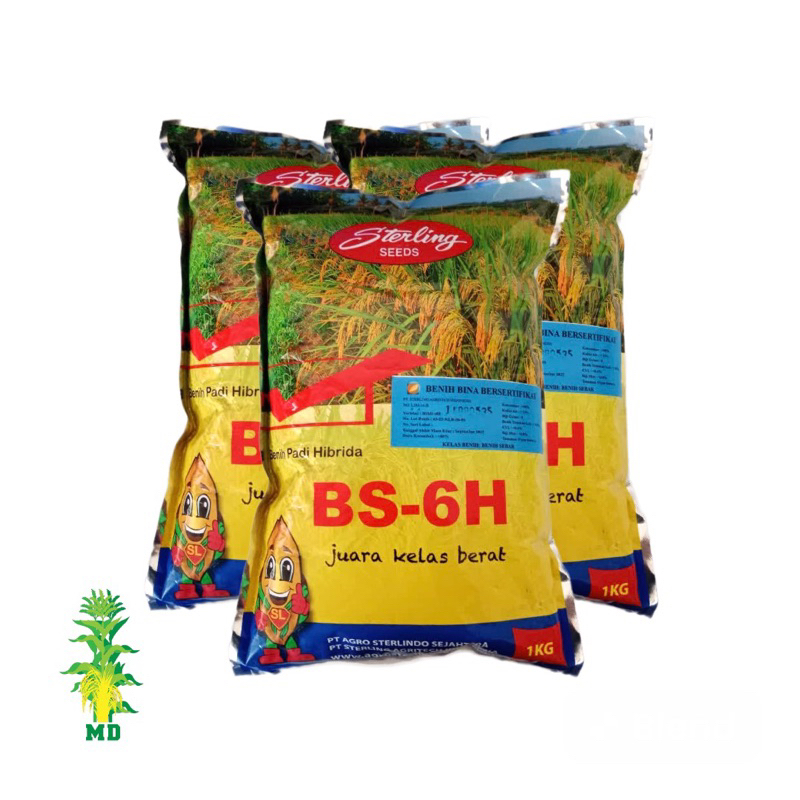 Benih Padi Hibrida BSHS 6H atau SL6 kemasan 1kg, juara kelas berat