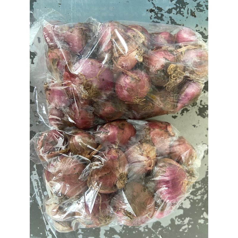 

Bawang Merah ukuran Sedang