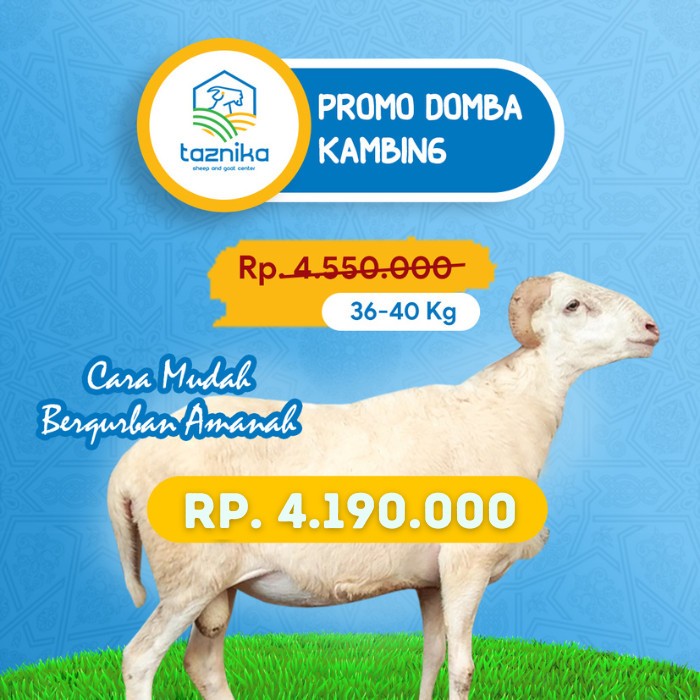 

HEWAN QURBAN DOMBA/KAMBING JANTAN 36-40KG