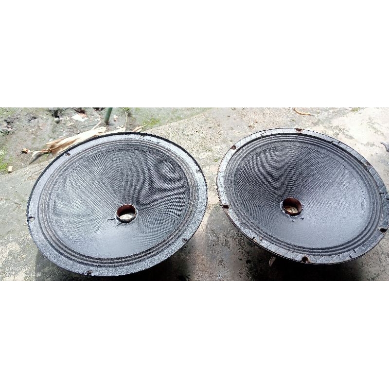 Speaker canon 12 inch