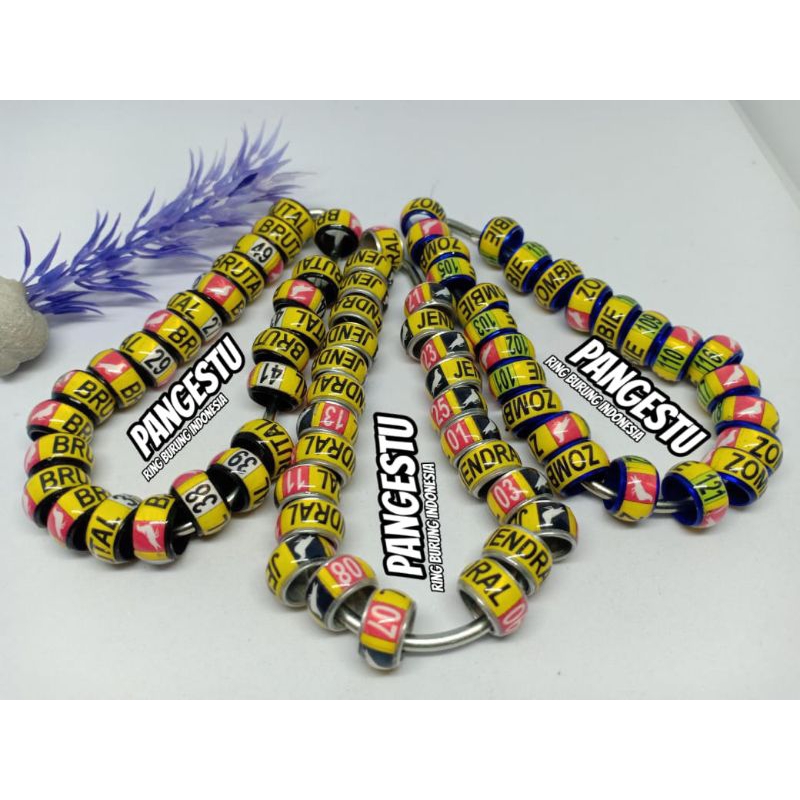 RING MERPATI RING RAMBO KUNING LIS ACAK RING SAMPLE RING PENDANDA KAKI BURUNG MERPATI