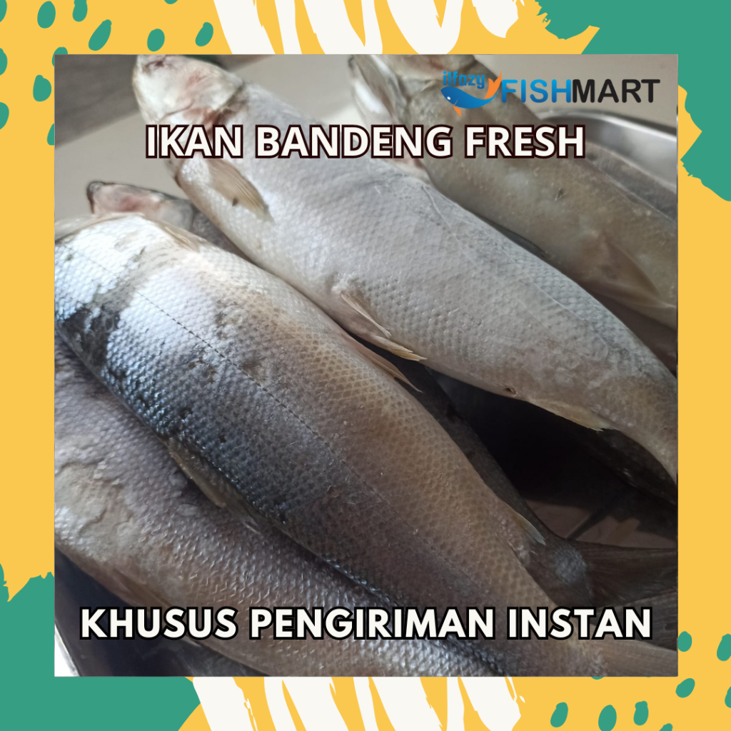 

Ikan Bandeng Segar dan Bersih Siap Olah 1 kg