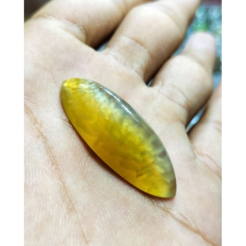 natural batu pandan nanas sisik betok
