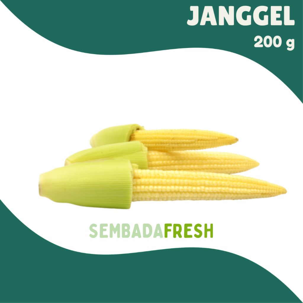 

Janggel / Jagung Muda / Baby Corn 250 gram - SEMBADA FRESH [Pengiriman Instant]