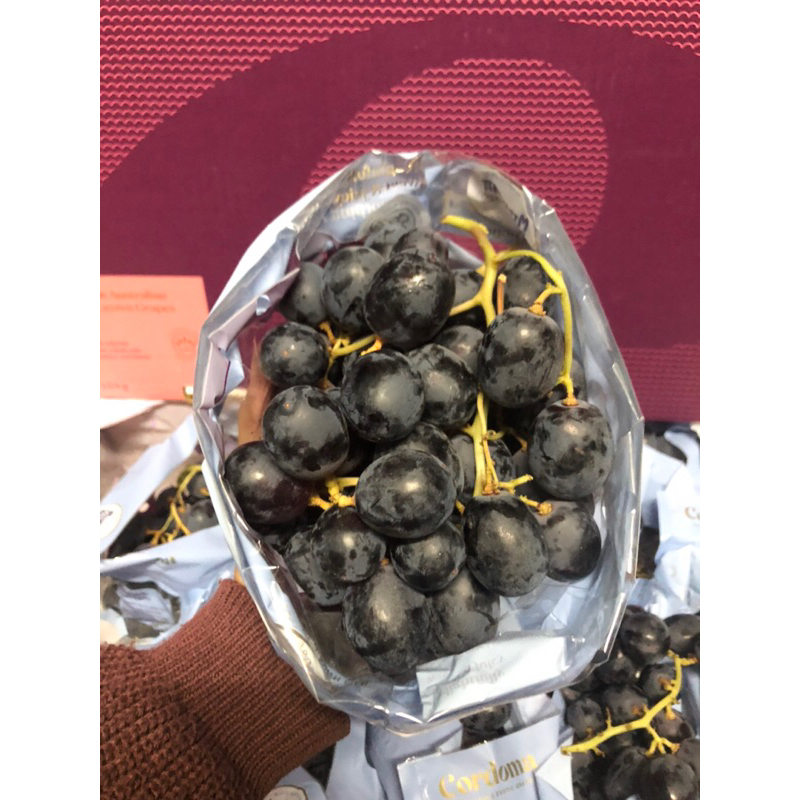 Anggur Hitam Midnight Beauty Australia Cordoma Jumbo /kg