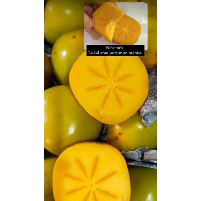 

Buah Kesemek | Presimon Lokal