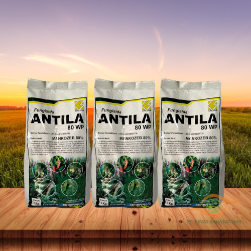 FUNGISIDA ANTILA 80WP 500GR/1KG - Pembasmi Hama dan Jamur - Sari Kresna Kimia -Pestisida Murah