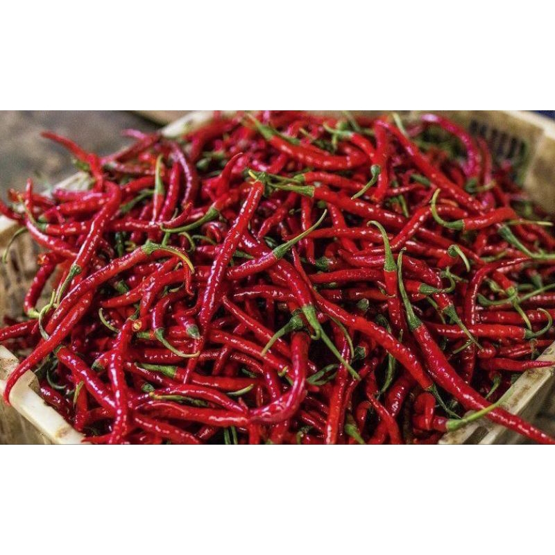 

cabe kriting merah 250 gram