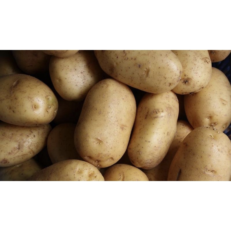 

kentang 1 kg
