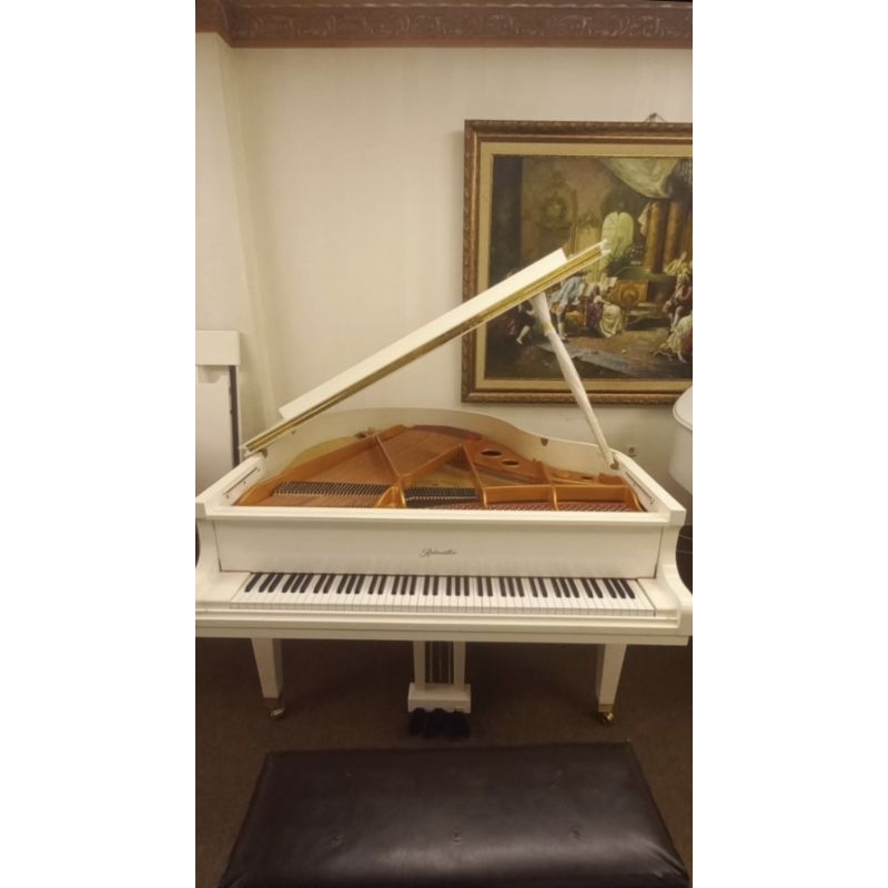 Baby Grand Piano Ritmuller GP148RI Putih new