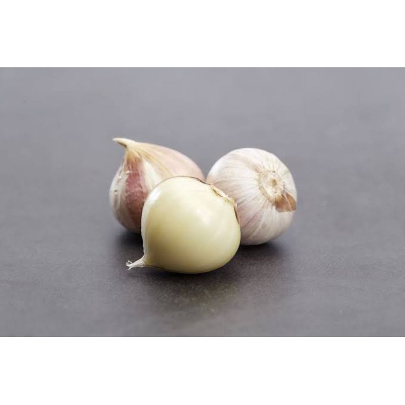 

bawang putih tunggal 100 gr