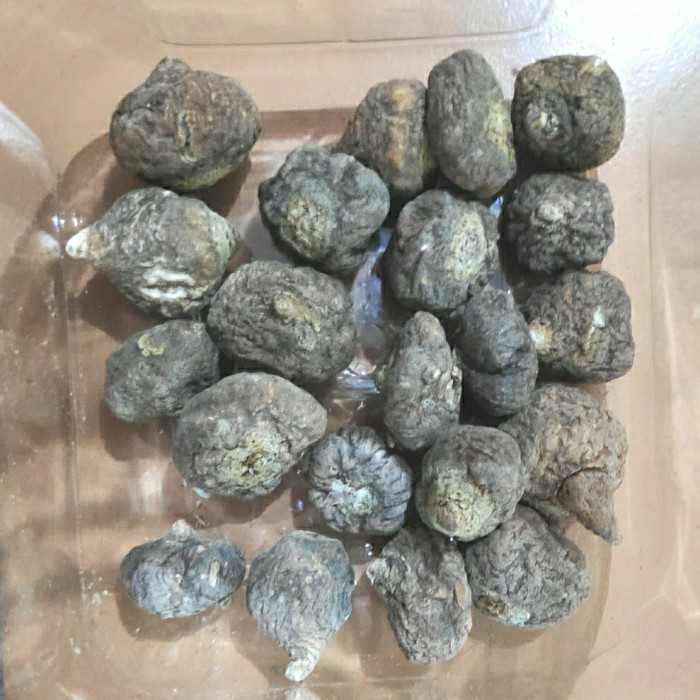 

Herbal Macca 正品玛卡 Lepidium Meyenii Grade A 10 Gr