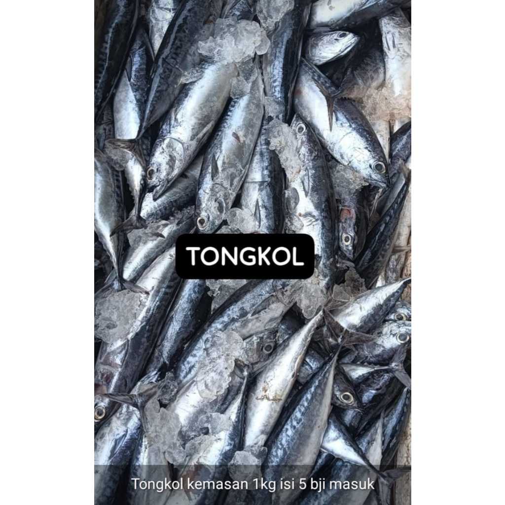 

Frozen Ikan Tongkol 1kg isi 5pcs, Ready Stock Delivery Jogja