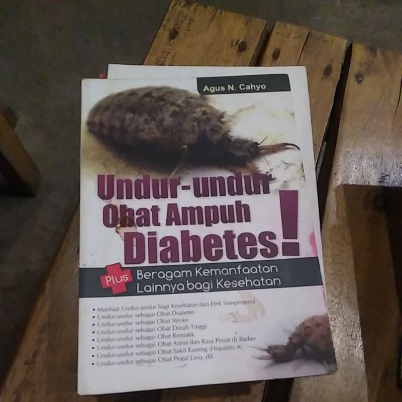 

undur undur obat ampuh diabetes
