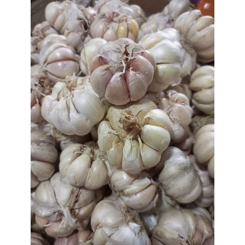 

bawang putih 250gram