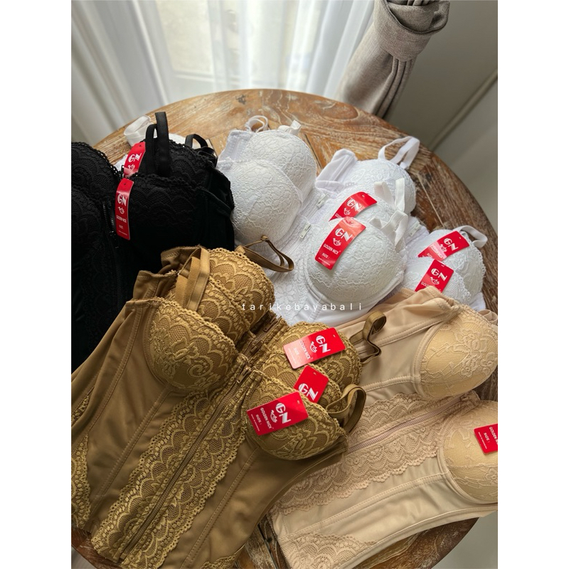 Longtorso GN premium