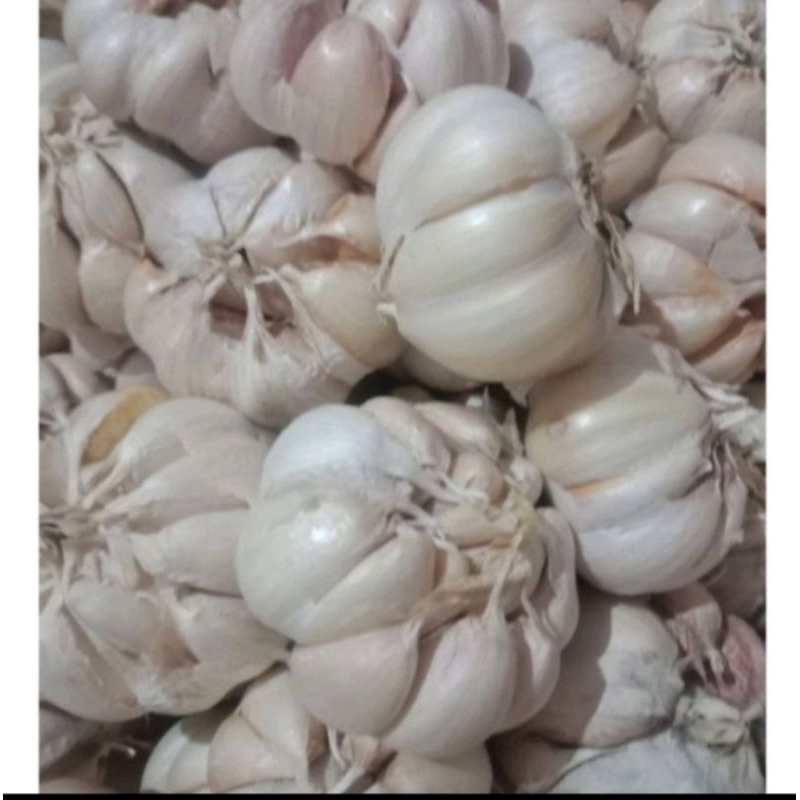 

bawang putih sinco 1kg