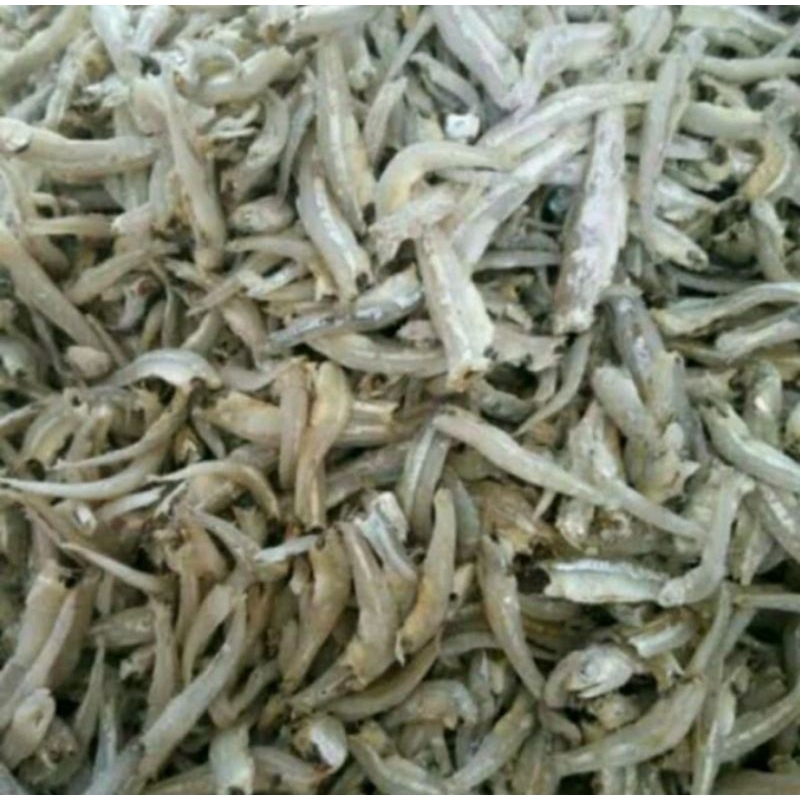 

Rindu alam ikan asin teri jengki TERlaris