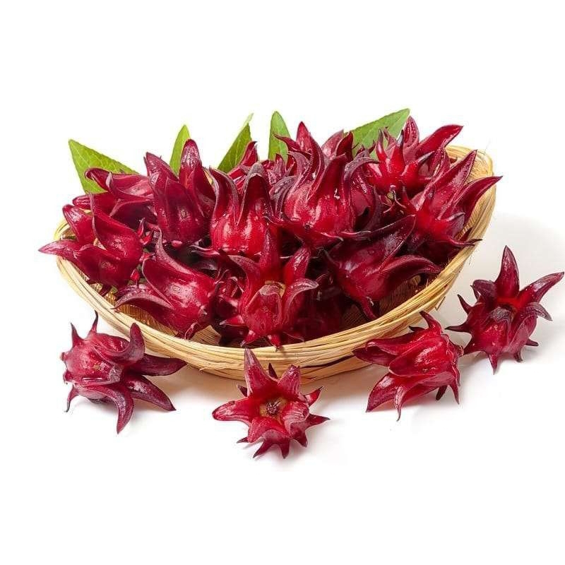 

Bunga Rosella Grosir Kiloan Super Premium Gourmet