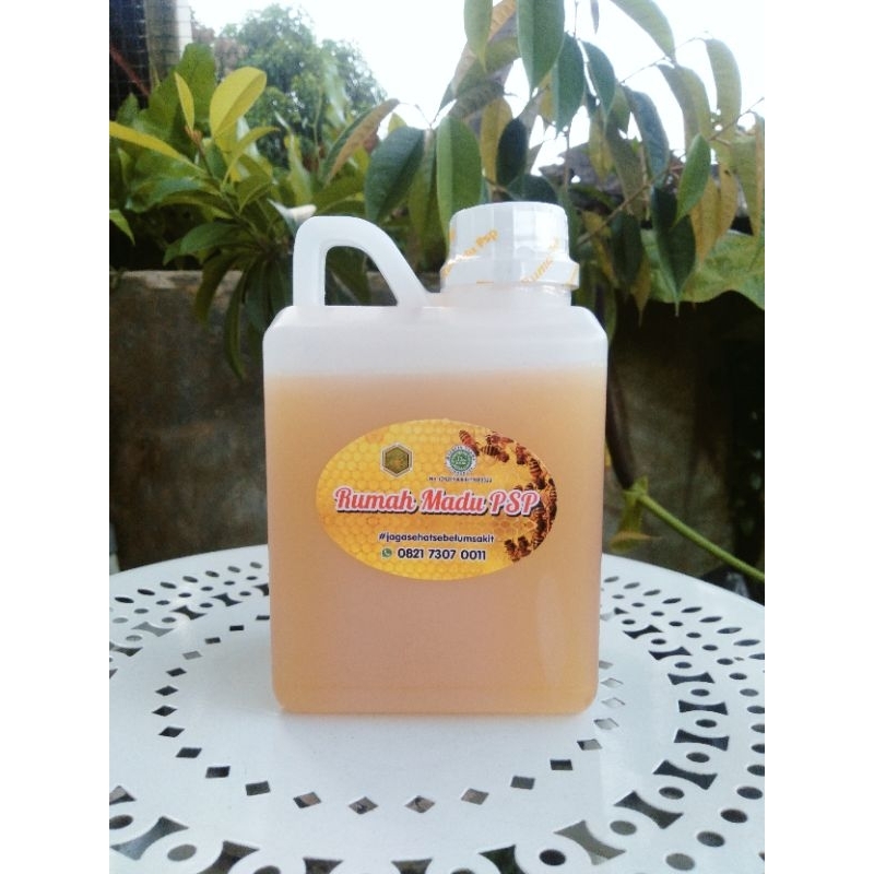 

Rumah Madu Psp - Madu Hutan 650 Gram 100%Natural Raw Honey