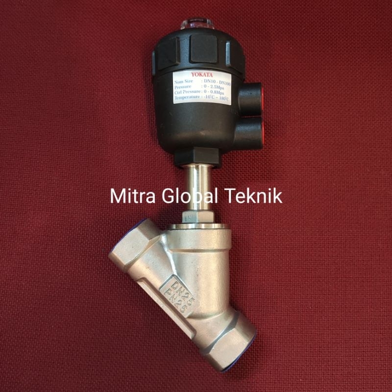 Angle/Angel Seat Valve Piston Drat 3/4" / DN20 Stainless SS316 PN25