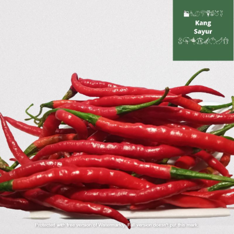 

Cabai Merah Keriting