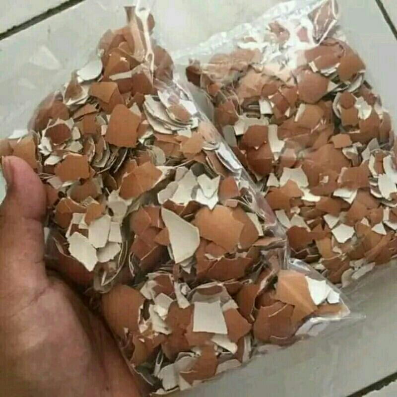 

Kulit Telur Ayam