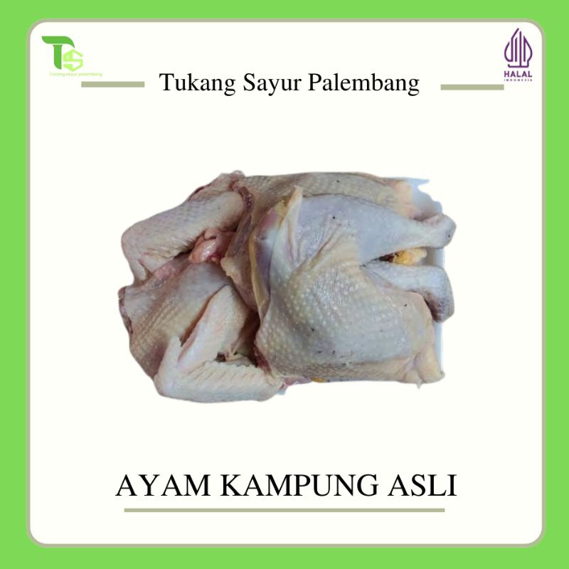 

Ayam Kampung Fresh Potong 0.8-09 KG (INSTAN)