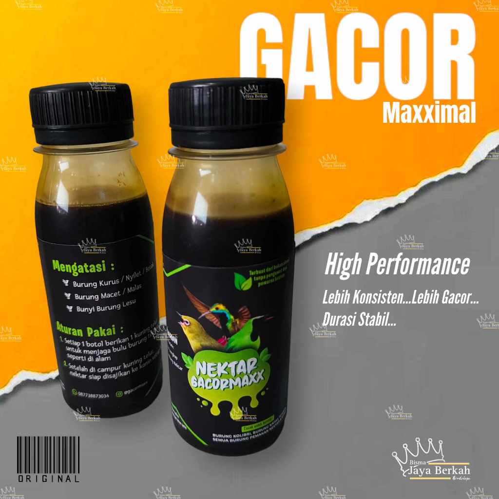 NEKTAR GACORMAXX NEKTAR KONIN SOGON DLL