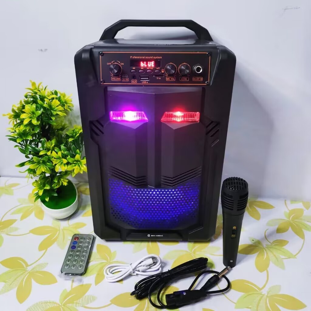 Speaker bluetooth portable QS-889 8,8inc free mic