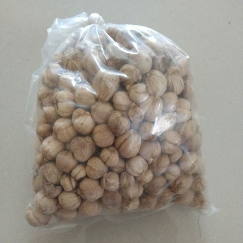 

Kapolaga Jawa Kering 50 Gram