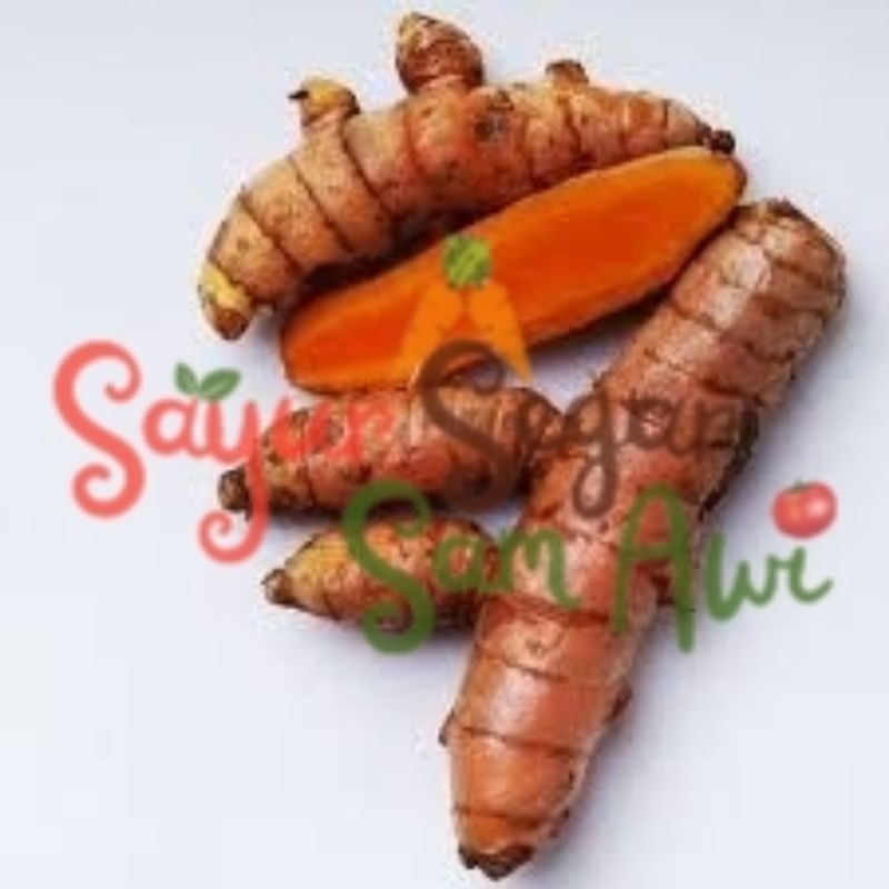 

KUNYIT SEGAR 100 gram, 250 gram, 500 gram | INSTANT MALANG | SAYUR SEGAR | SAYUR SEGAR SAM AWI