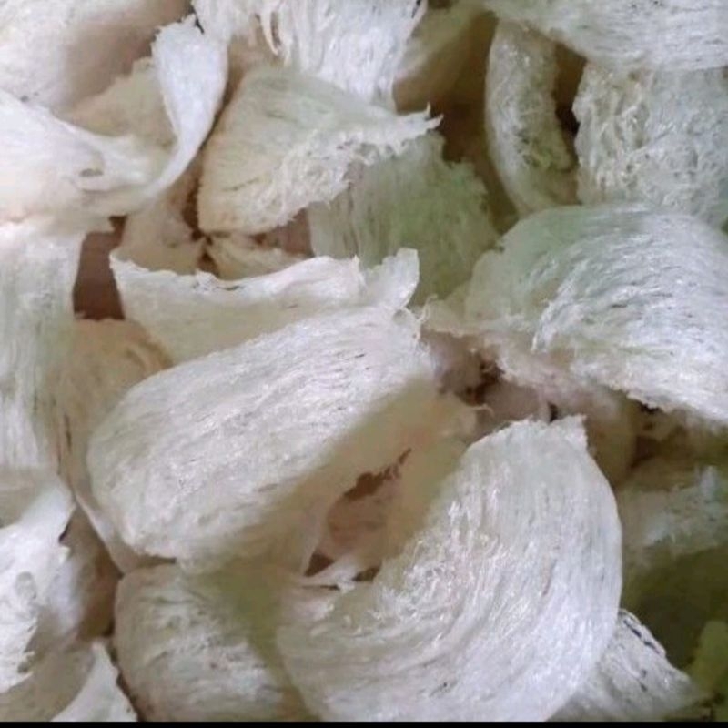

walet mangkok super