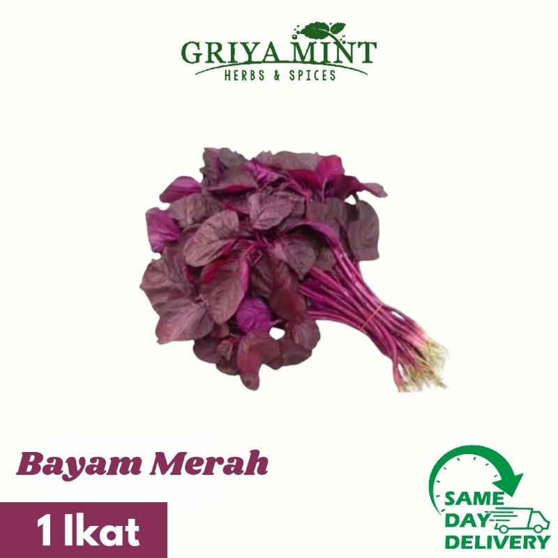 

Bayam Merah Fresh 1 Ikat