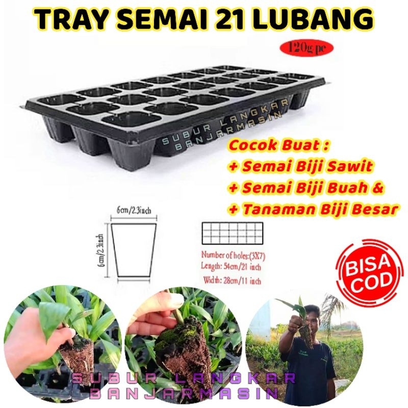 TRAY SEMAI 21 LUBANG COCOK BUAT BIJI BESAR