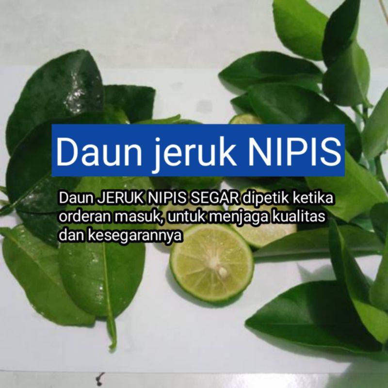 

Daun JERUK NIPIS 100 gram