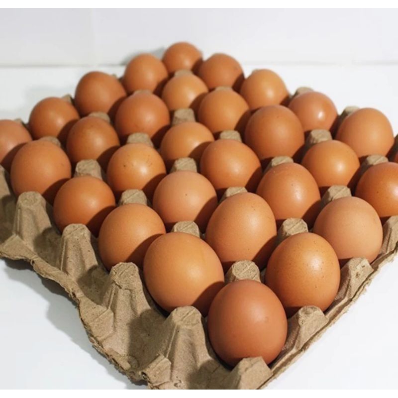 

RB Telur Ayam Segar 1 Kg (Kualitas Bersih)