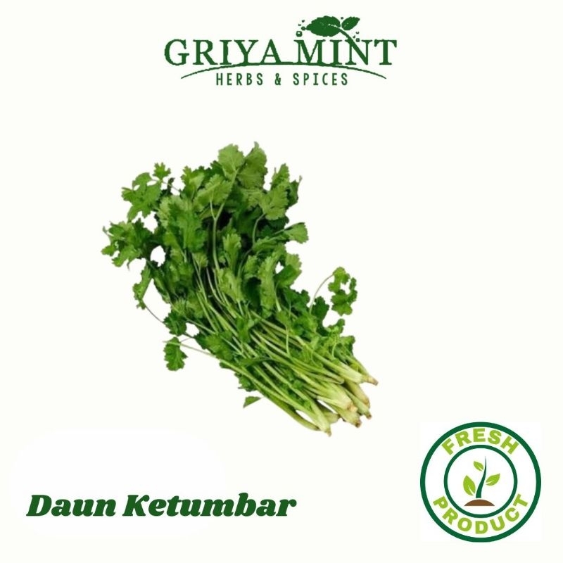 

Daun Ketumbar Segar 250g /500g /1 kg