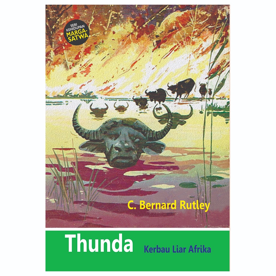 Thunda Kerbau Liar Afrika - Seri Margasatwa #10 - C Bernard Rutley