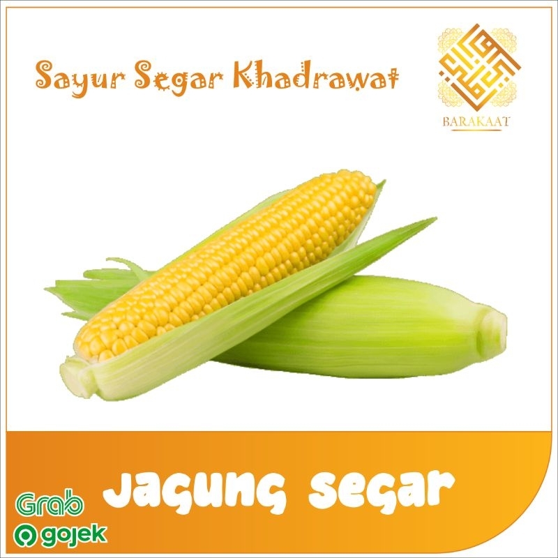 

Jagung Segar 1 kg