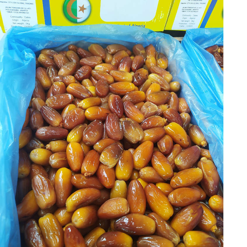 

Kurma Tunisia Madu Original | Kurma Tunisia Non Tangkai 5Kg